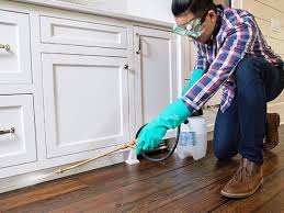 Best Pest Exclusion Services  in Lukachukai, AZ