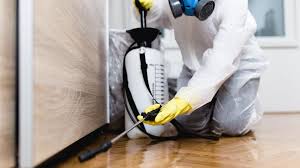 Best Fumigation Services  in Lukachukai, AZ